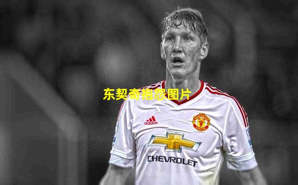 东契奇抱怨图片